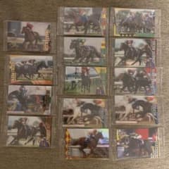 サラブレッドホースコレクション 第4R 箔押しサイン入りとサイン無 14