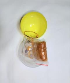うちの子のけだまだま　茶トラのサムネイル