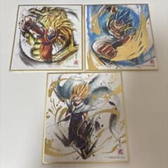 드래곤 볼 색지 ART RAGING 2