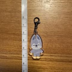 아크릴 매력 울프찬
