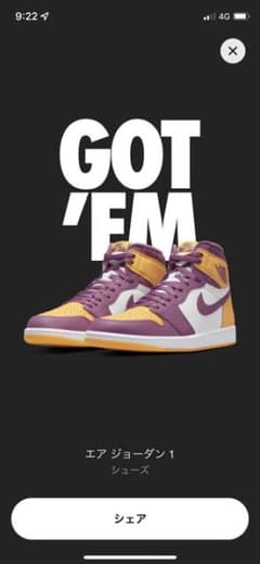NIKE ナイキ エアジョーダン1ブラザーフッドのサムネイル