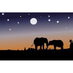 着付師こまち -PFお読み下さい！-様専用☆のサムネイル