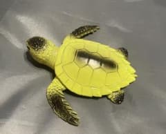 アンドコ　デアゴスティーニ　アオウミガメ　黄のサムネイル