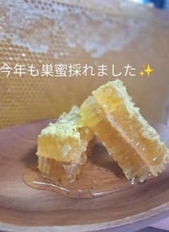 国産みかんはちみつ 巣蜜 コムハニー 300g - メルカリ