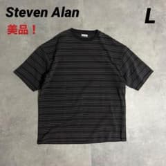【美品】Steven Alan 21MVS ボーダーショートスリーブ TシャツLのサムネイル