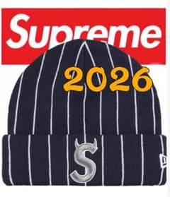 Supreme New Era Devil S Logo Beanie - メルカリ