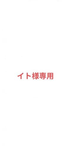 イト様 専用出品のサムネイル