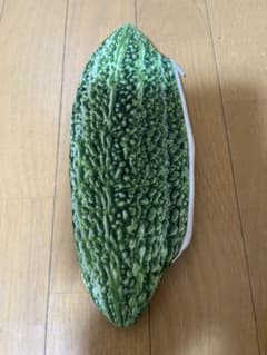 ゴーヤお野菜ポーチのサムネイル