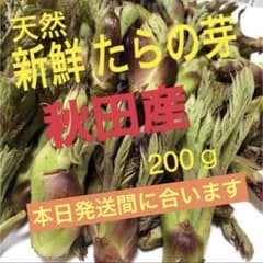 15152 天然 たらの芽 バラエティパック タラの芽のサムネイル