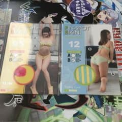 平嶋夏海　ピンスポビキニカード　2枚セットのサムネイル