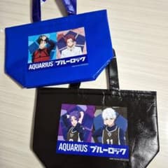 AQUARIUS 블루 록 보냉 가방 2 종 세트