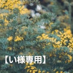 【い様専用】東京リベンジャーズ ブックレットのサムネイル
