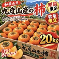 最終時期‼️和歌山県九度山産たねなし柿❤️刀根早生❤️20kg - メルカリ
