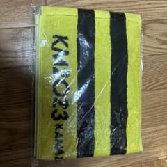 金沢マラソン2023 タオルのサムネイル