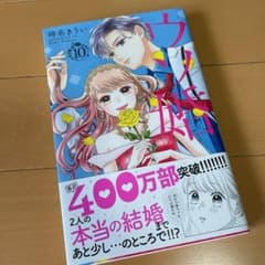 ウソ婚(10)のサムネイル