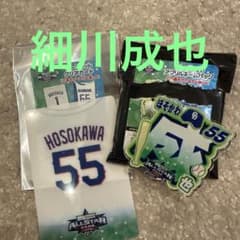 細川成也 中日ドラゴンズ オールスター アクリルカード アクリルネームバッジのサムネイル
