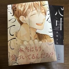 心中で待ってて2冊セットのサムネイル