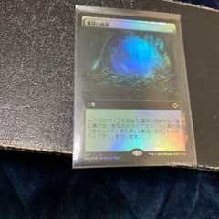 MTG 霧深い雨林　拡張アート版foilのサムネイル