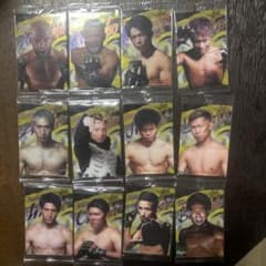 ★RIZIN★カード★篠塚辰樹選手etc...★のサムネイル