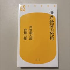 世界経済の死角のサムネイル