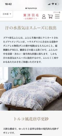東洋羽毛　羽毛掛け布団のサムネイル