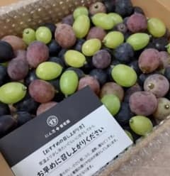8/24-2　訳あり　忍まる　葡萄　ぶどう　果物　くだもの　にん忍葡萄園のサムネイル