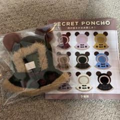 ディズニーストア ユニベアシティ シークレットポンチョ 緑のサムネイル