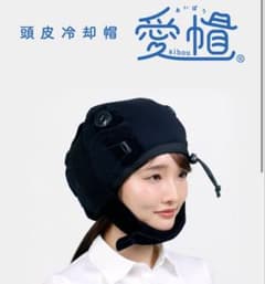 1回だけ使用○愛帽 アイスジャパン 頭皮冷却 （3時間分） 1回だけ使用○愛帽 アイスジャパン 頭皮冷却 （3時間分） - メルカリ