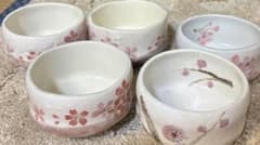 小茶碗 野点茶碗 5客セット 桜・梅 絵付け 抹茶碗のサムネイル