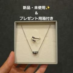 RIN. accessory☆ステンレスリング☆ステンレスネックレス☆値下げ⭕のサムネイル