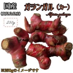 奄美大島産250gガランガル (カー、ナンキョウ、タイ生姜)のサムネイル