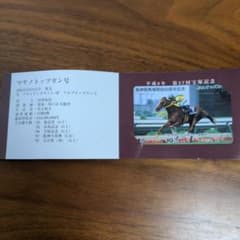 JRA 阪神競馬場開設50周年記念 オッズカード マヤノトップガン - メルカリ