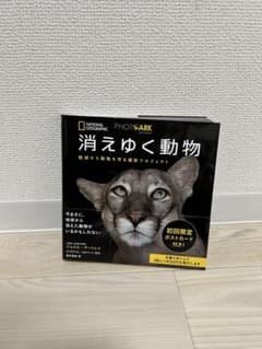 消えゆく動物 絶滅から動物を守る撮影プロジェクトのサムネイル