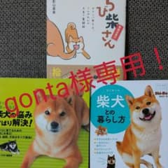 ちび柴さんのサムネイル