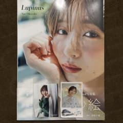 完全未開封/直筆サイン/ポストカード】岡崎紗絵2nd写真集