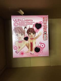 涼宮ハルヒの憂鬱 1/4バニーセットのサムネイル