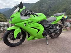 Kawasaki Ninja 250R ライムグリーン　フルノーマル