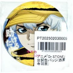 Dr.STONE 西園寺羽京　アニメイト　ポイント　景品　缶バッジ　10個 Dr.STONE アニメイトポイント 景品 特典 缶バッジ 缶バッチ 西園寺羽京