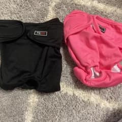 ペット用サニタリーパンツLのサムネイル