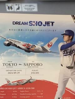 世界で300枚程度　DREAM SHO JET 初便搭乗証明書 世界で300枚程度 DREAM SHO JET 初便搭乗証明書 - メルカリ