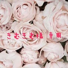きむきむ様専用のサムネイル
