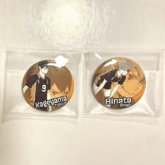 ハイキュー!!   日向翔陽・影山飛雄のサムネイル