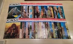 週刊アニマルライフ 1-200+特別号 動物の大世界百科 当時物 昭和 入手