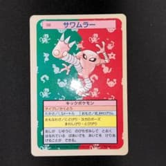 상태매우좋음 Sawamler Top Sun 뒷면 블루 106