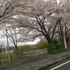 ぽん様専用 追加分のサムネイル