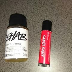 LUSHリップカラーサンタベイビー果草力のサムネイル