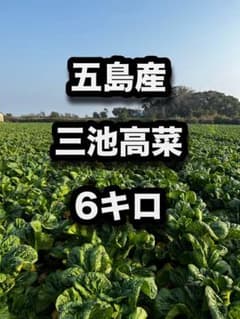 五島産 三池高菜 6キロのサムネイル