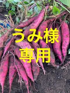 うみ様専用 紅はるか4kg 紅さつま 3kg シルクスイート 3kg 詰め合わせのサムネイル