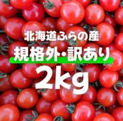 北海道富良野産ミニトマト2キロ【規格外】 - メルカリ