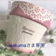 リメイク鉢 レース  ＋  エケベリアのサムネイル